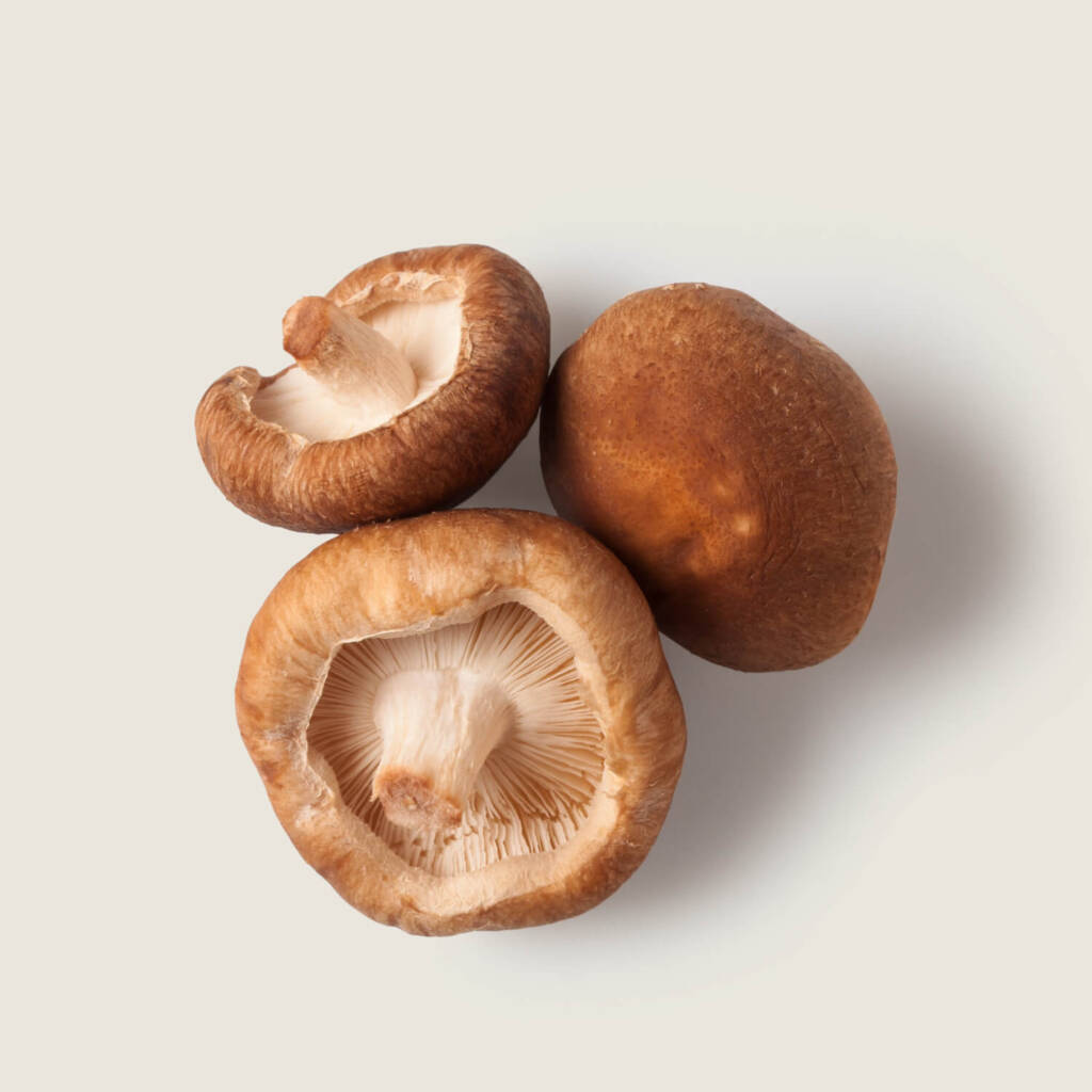 Shiitake