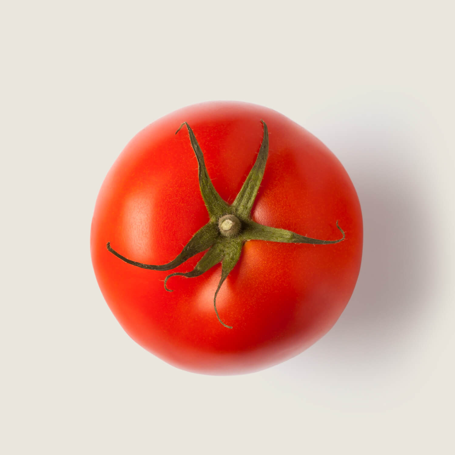 Tomate deshidratado - Trevijano
