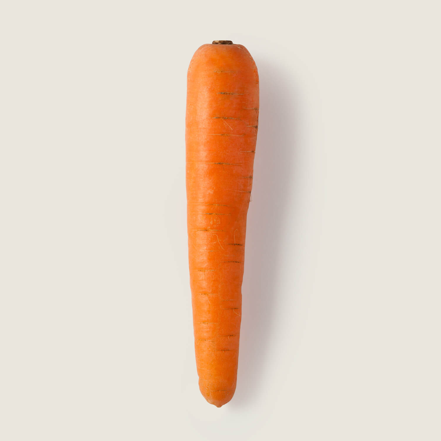 Alejandrito